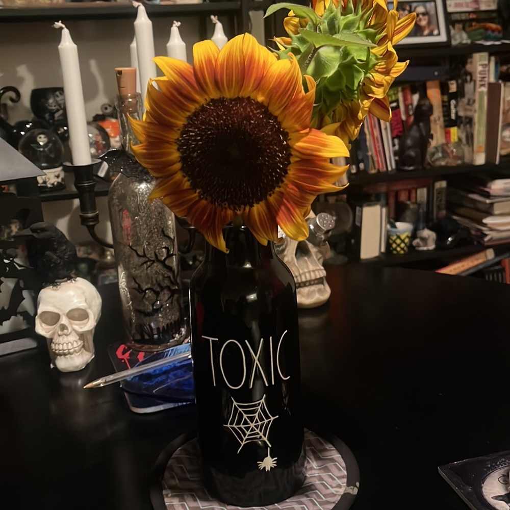 Rae Dunn Toxic vase - Picture 2 of 6